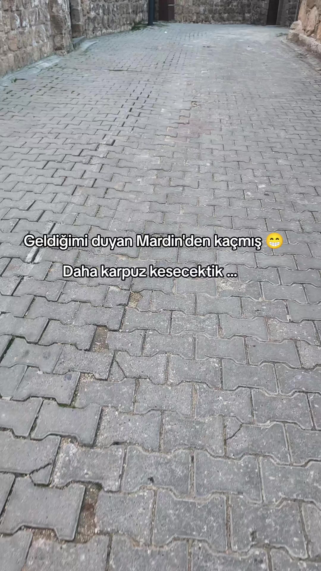 @ミ★ Ne&Ccedil;E🍁 ZOZAN ★彡