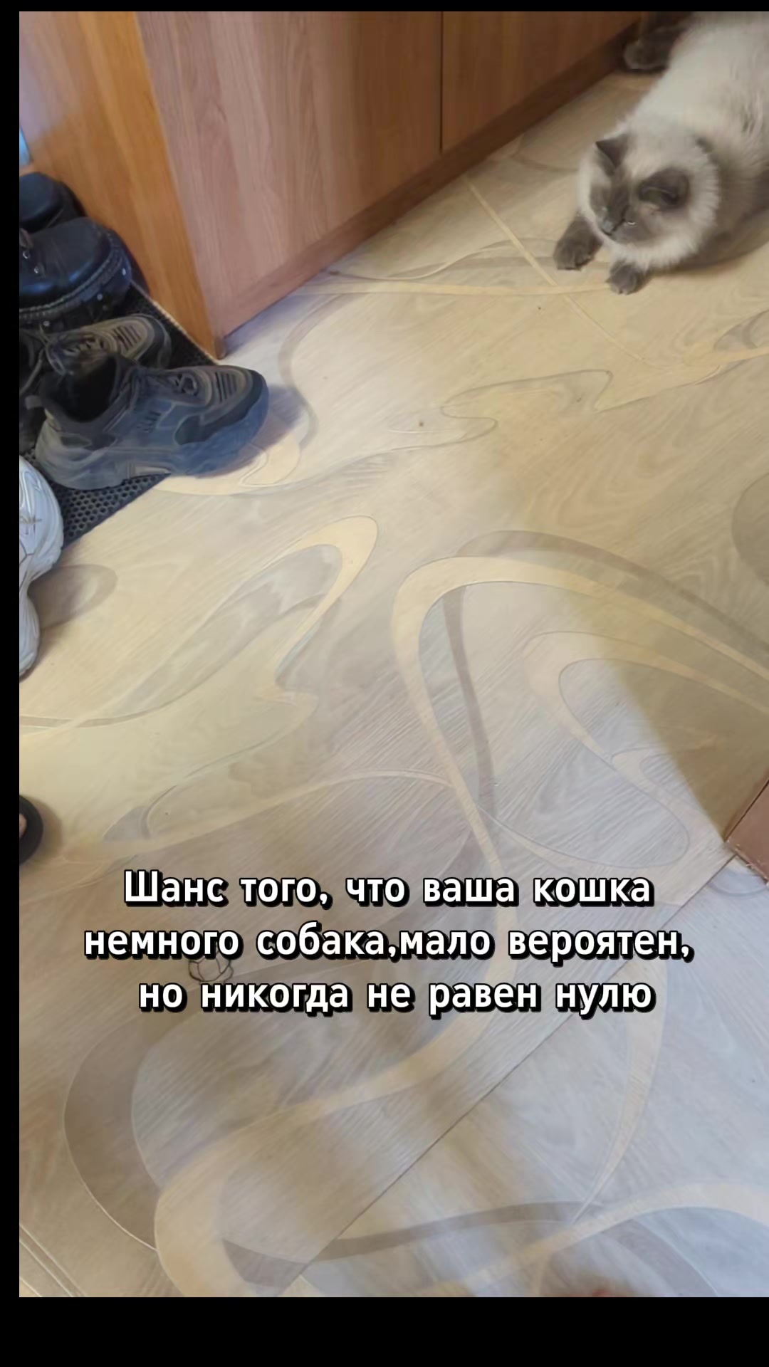 @я не знаю никакой Саманты