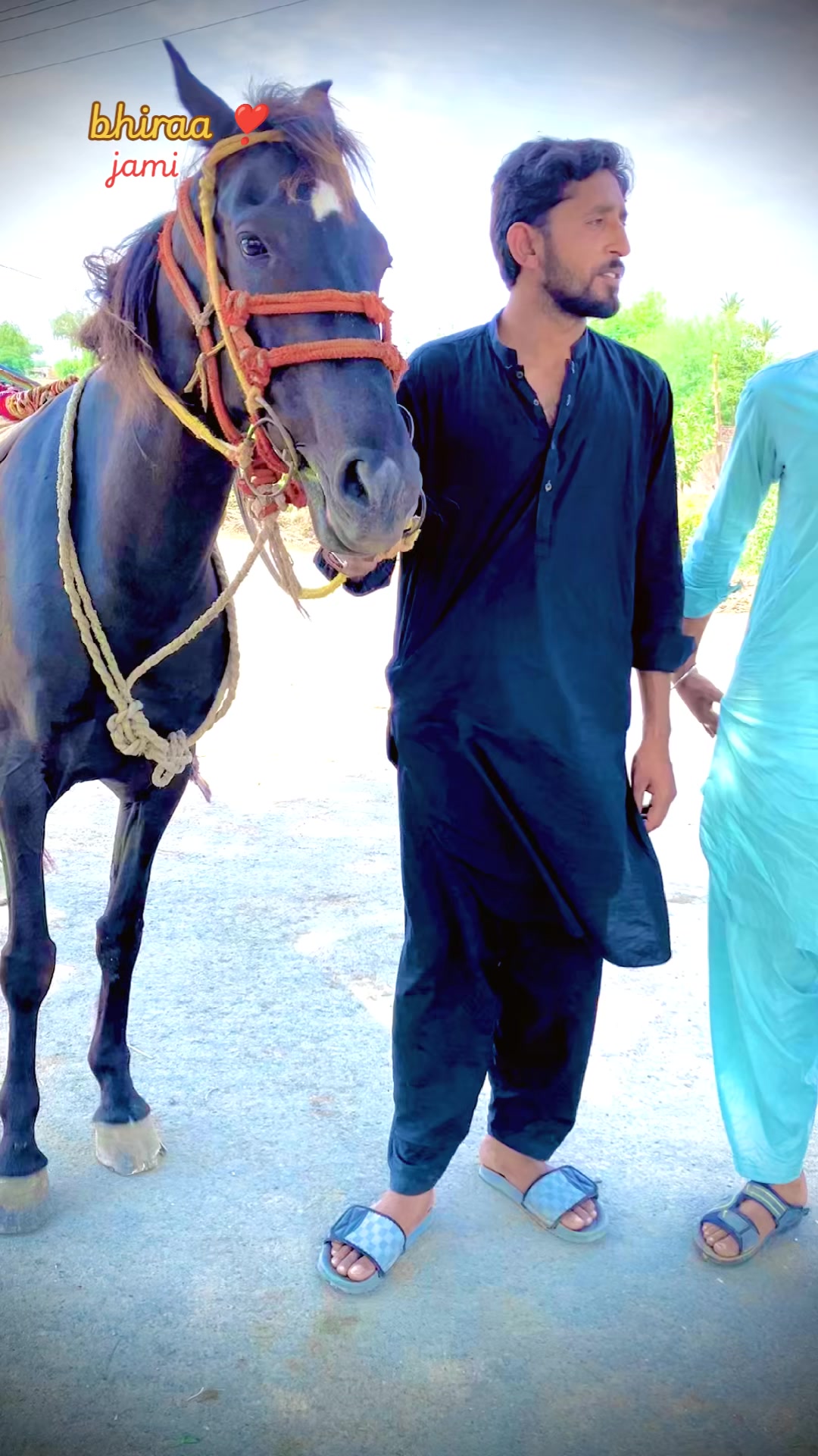 @🐎 گھوڑے دا شوق نواباں دا 🐎