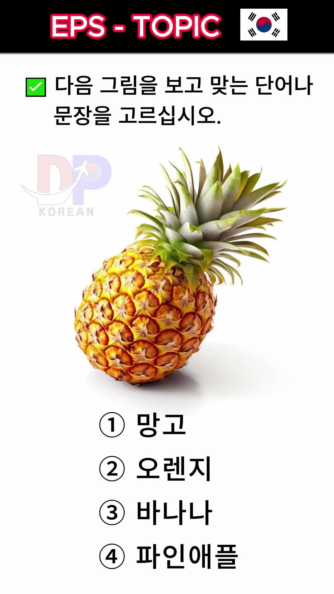 @DP korean