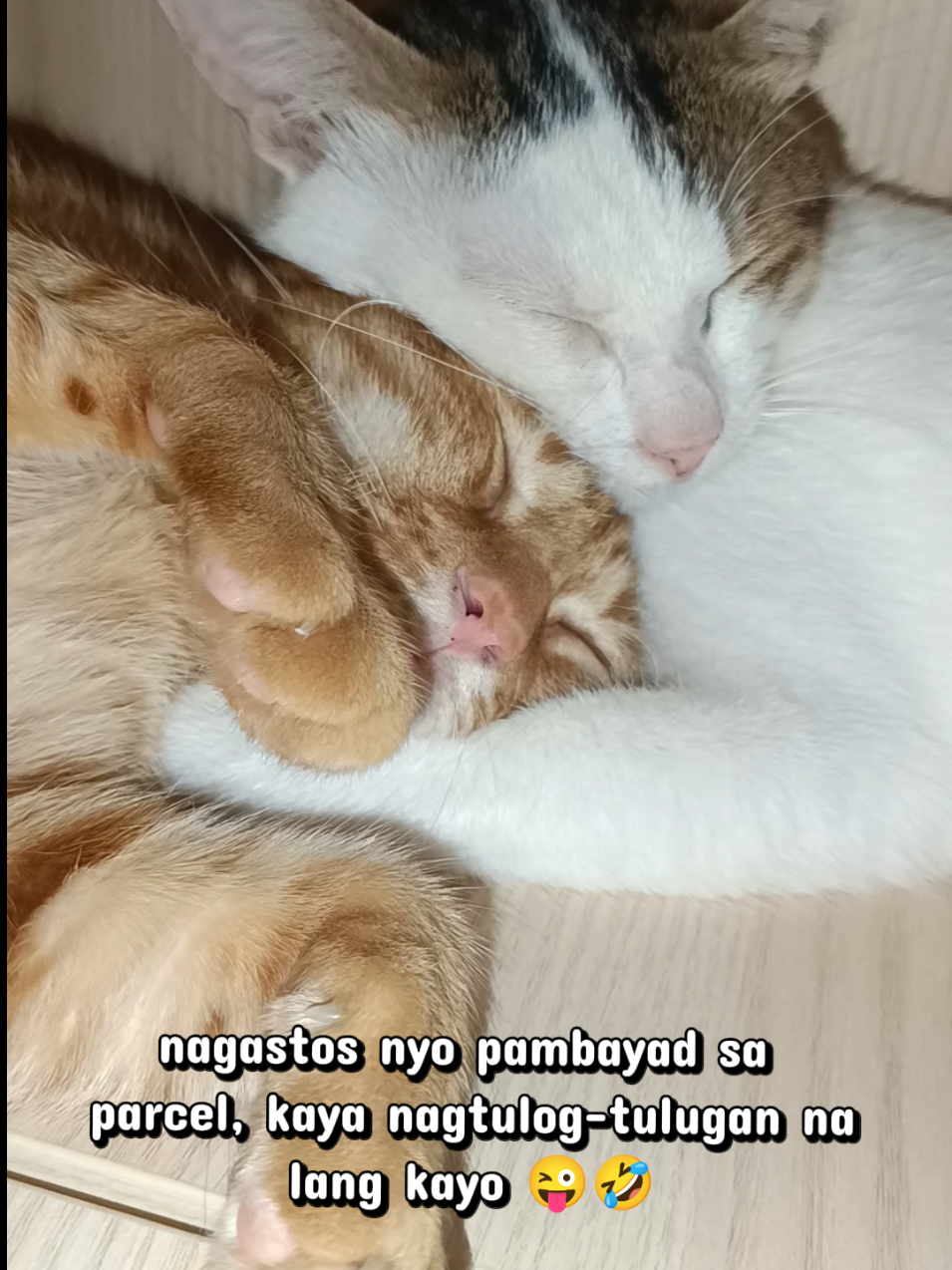 @shaineramos