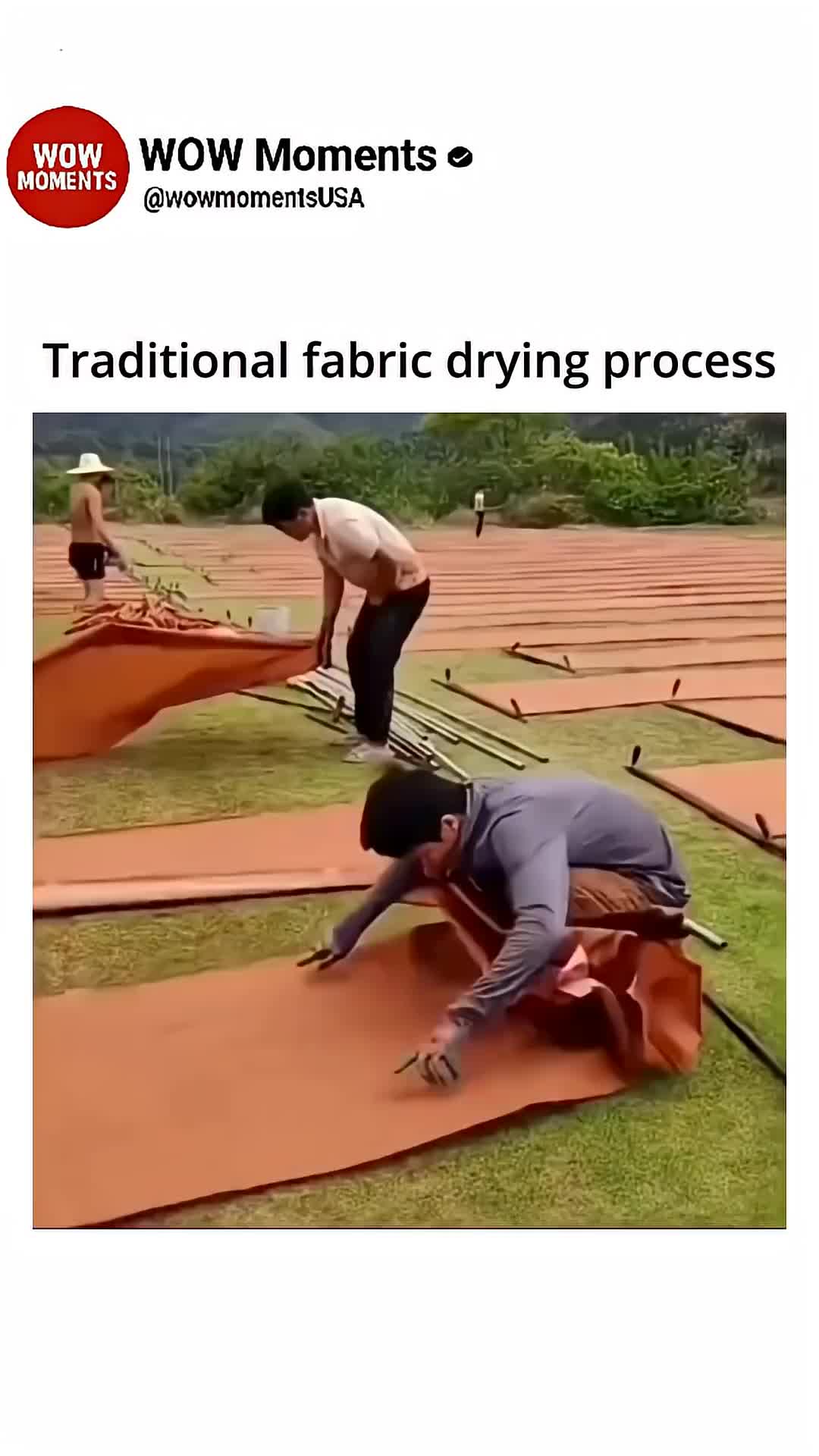 @funny clips ☑️🚩