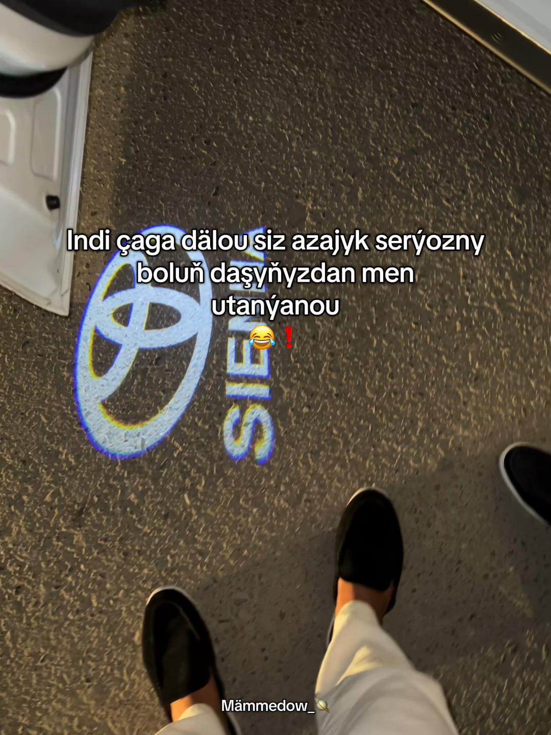@Mämmedow_🪐