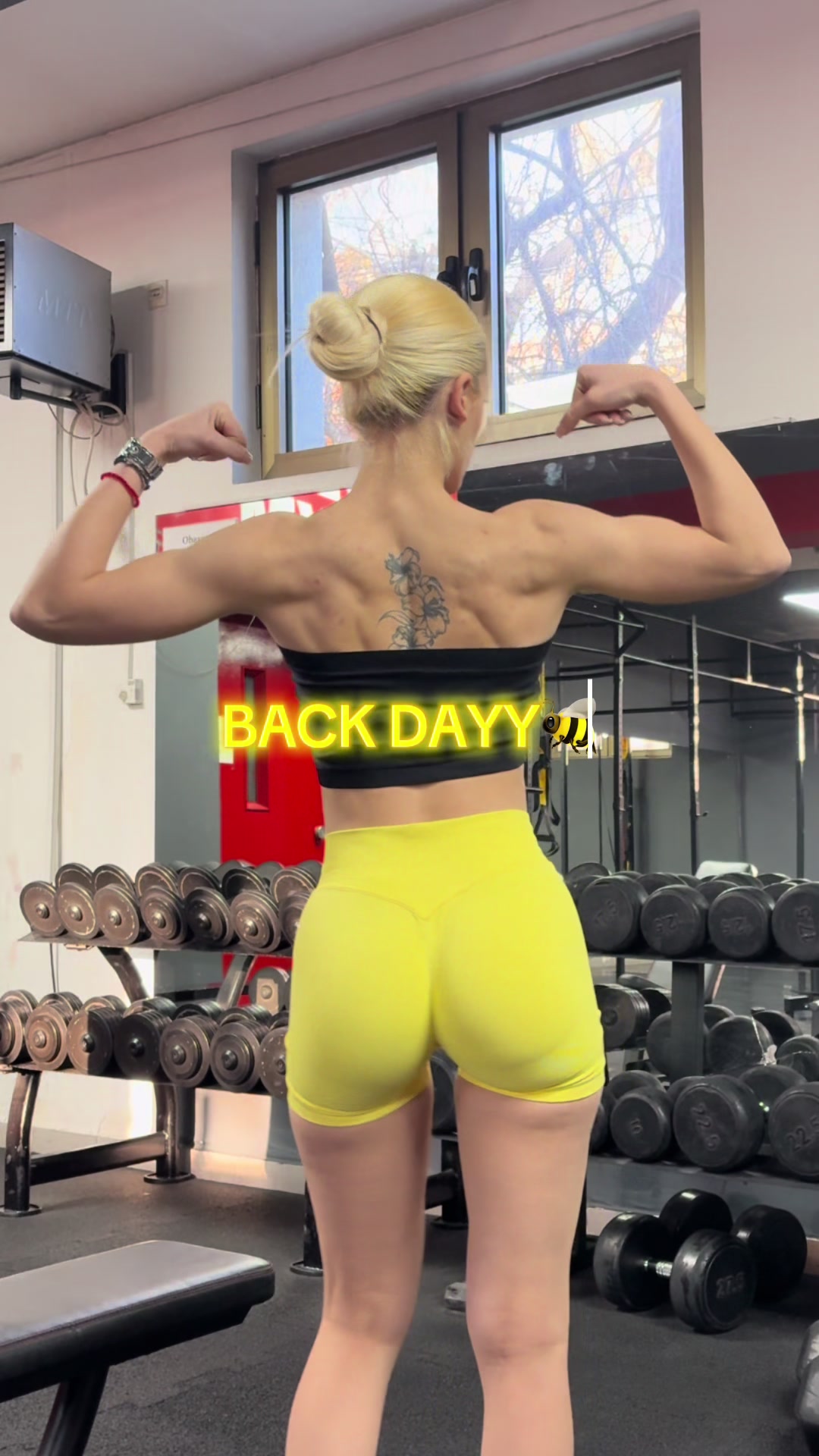 @LANA🦈