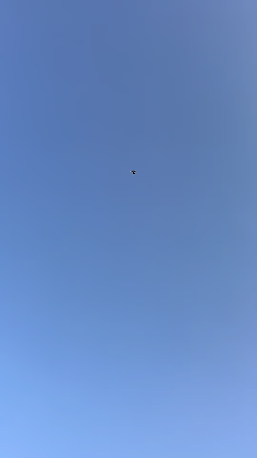 @𝑺𝒖𝒃𝒉𝒂𝒏 𝑪𝒂𝒃𝒃𝒂𝒓𝒐𝒗