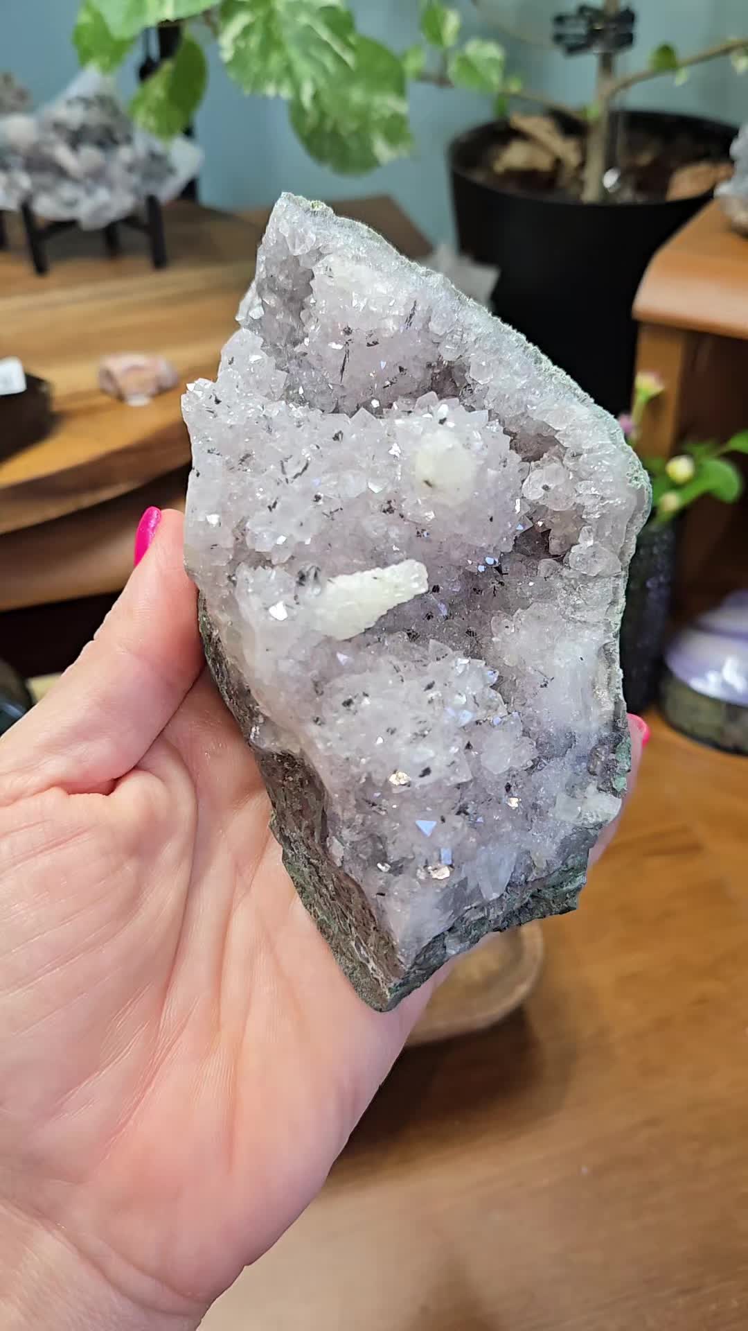 @The Crystal Frog Co.