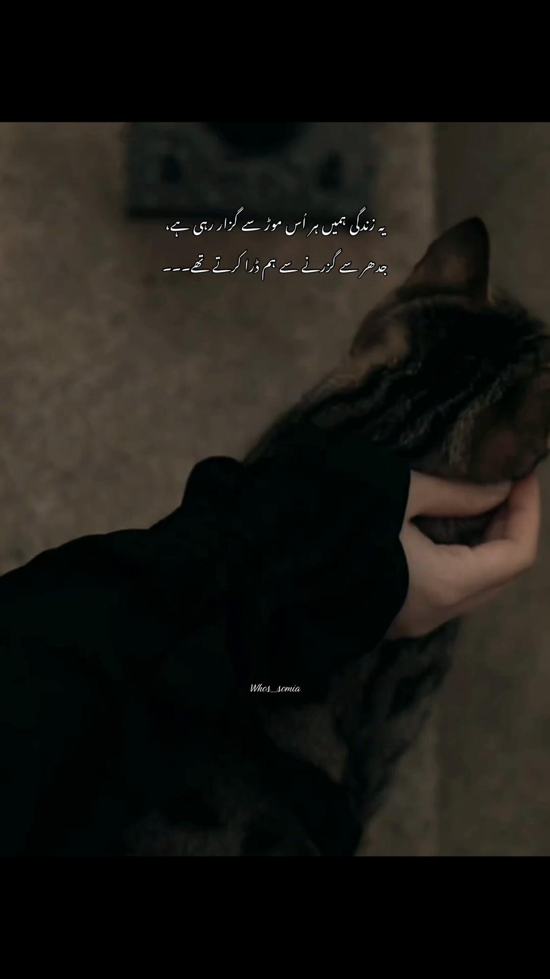 @سومیا🕊️