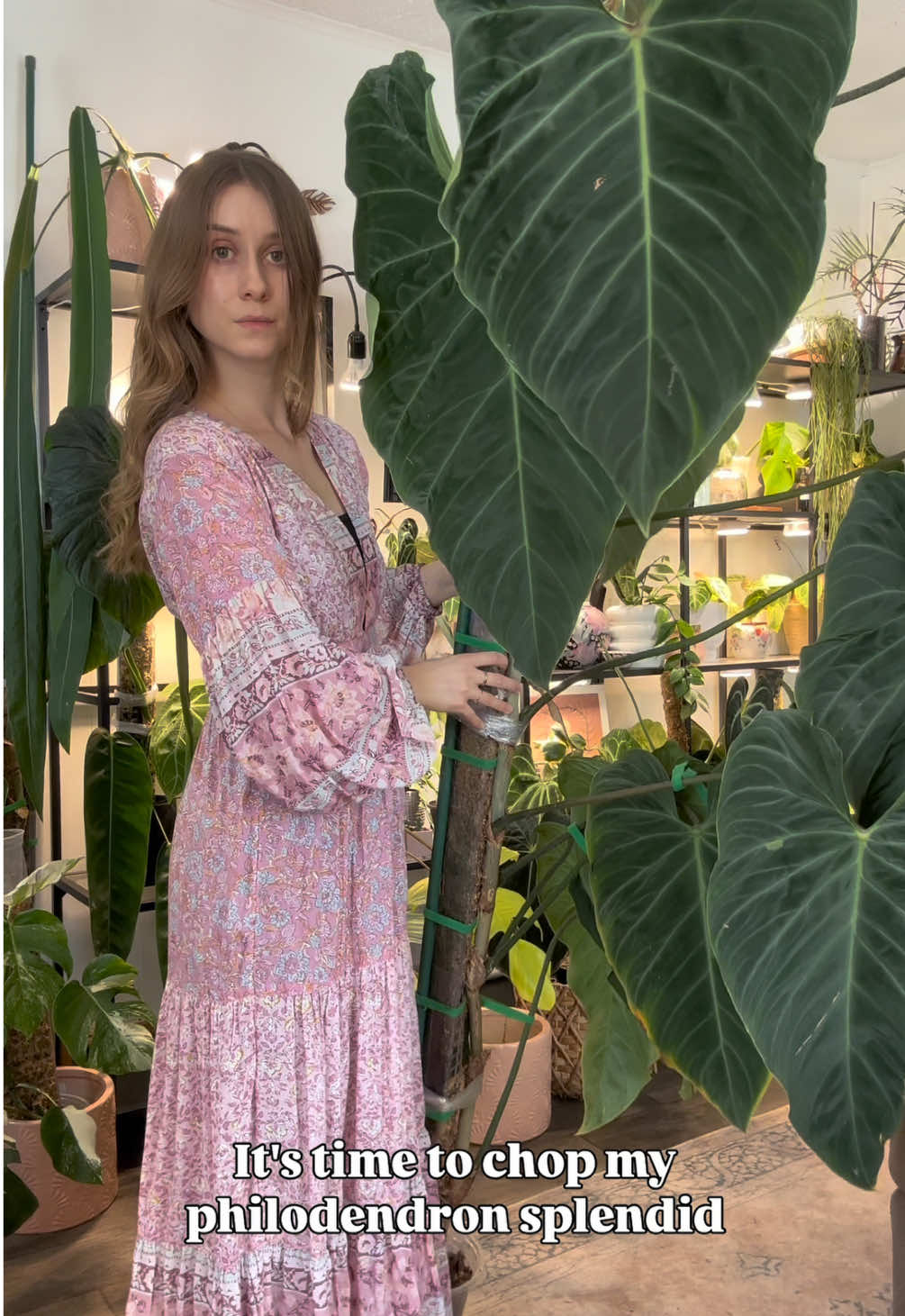 @theplantgirl_diaries