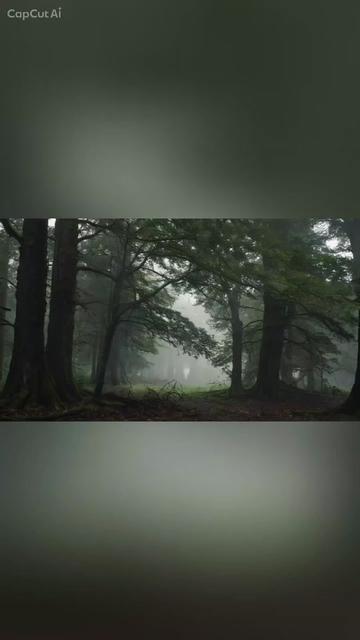 @🔥❌️Lostboy💀72❌️🔥