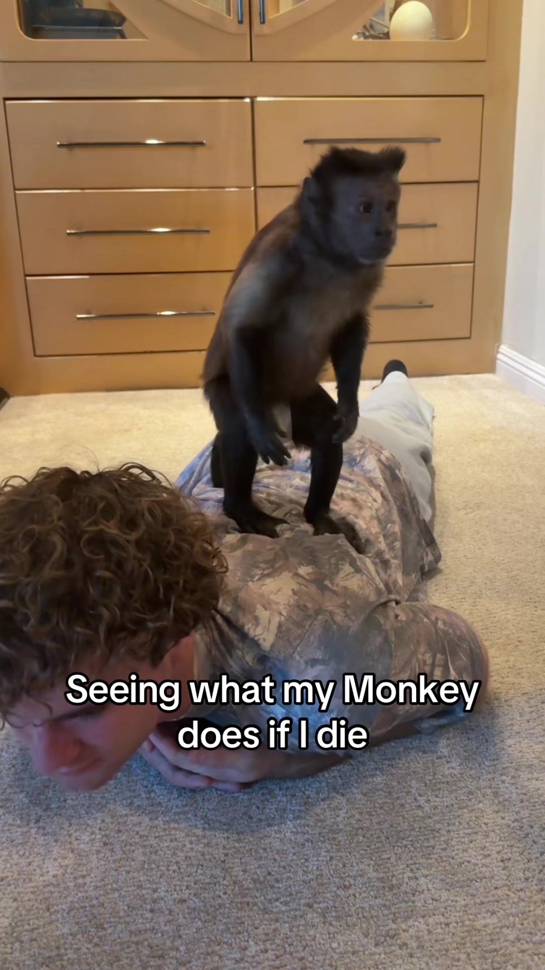 @dexthemonkeyy