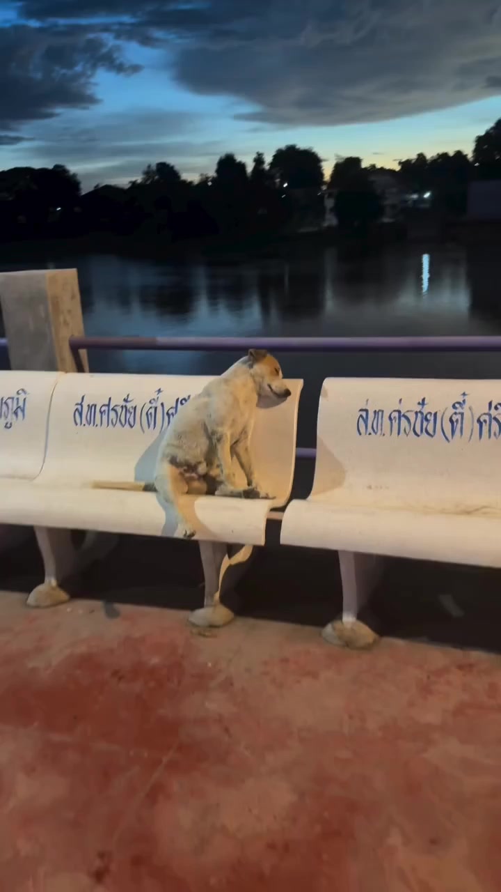 @𝗔𝗻𝗴𝗲𝗹𝗮 𝗖𝗮𝗻𝗱𝗶𝗰𝗲