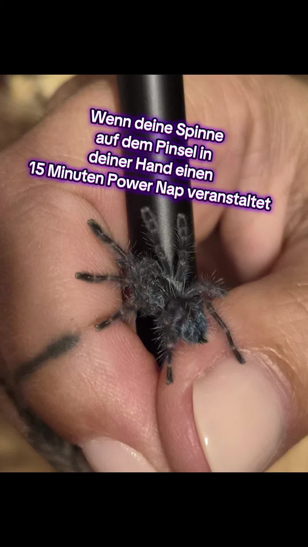 @Die...Isa!