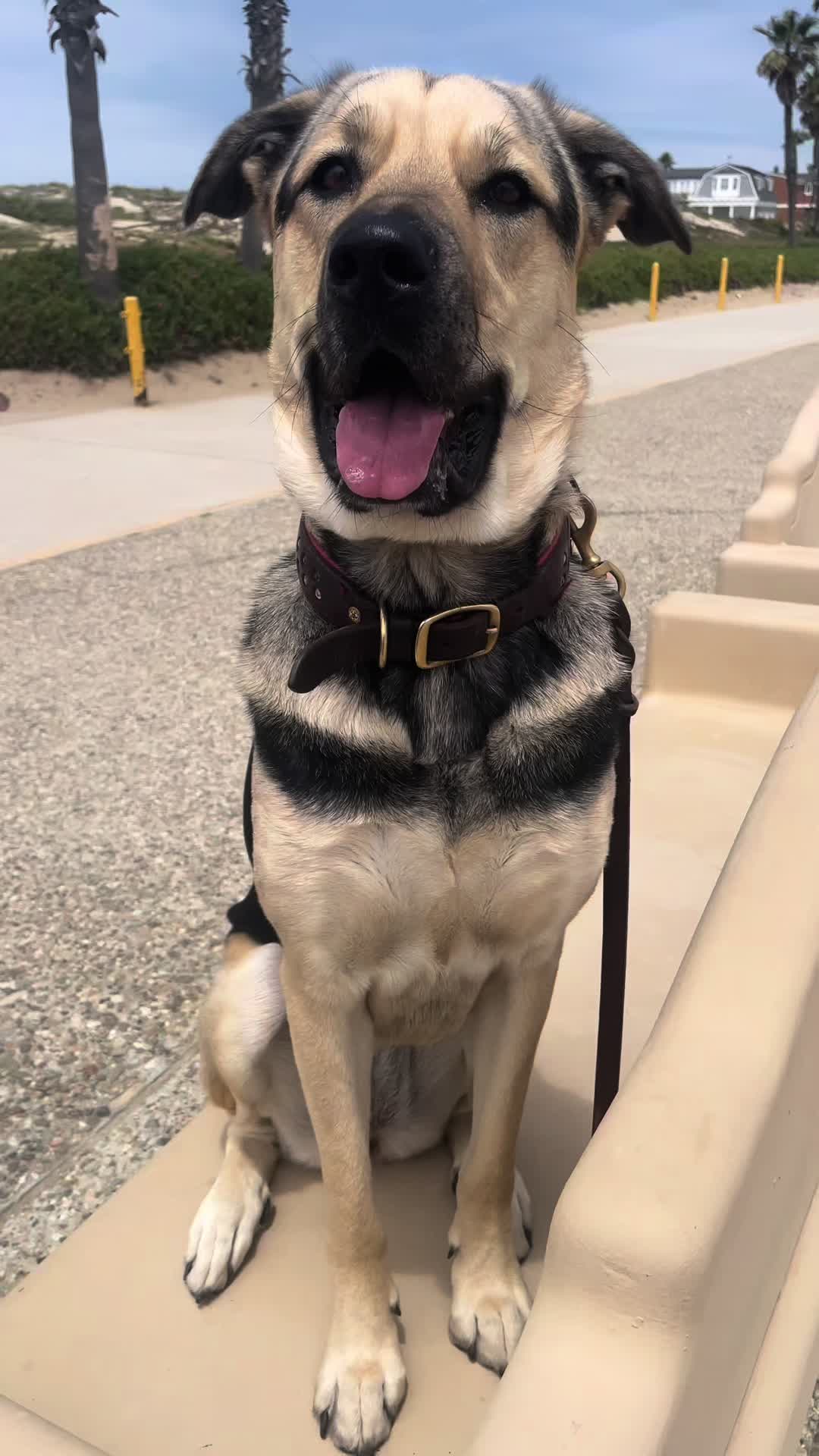 @Lenny In The House