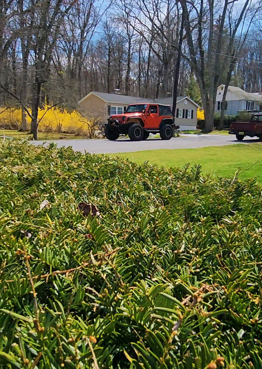 @Willy - Dragonfly Jeep