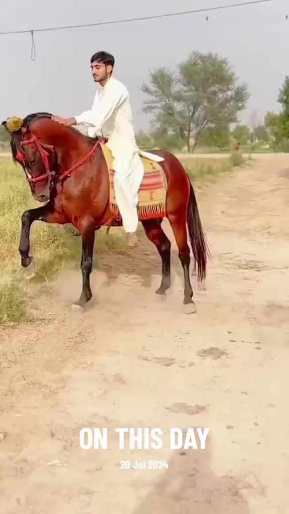 @احمد گل نمبر دار