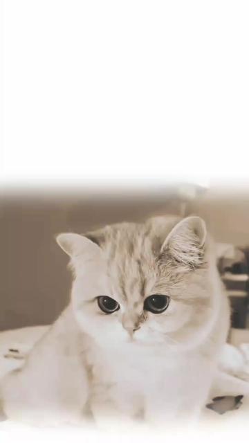@🌼𝐒𝐮𝐝𝐡𝐢𝐫_𝐖𝐫𝐢𝟖𝐬🥀🕊️