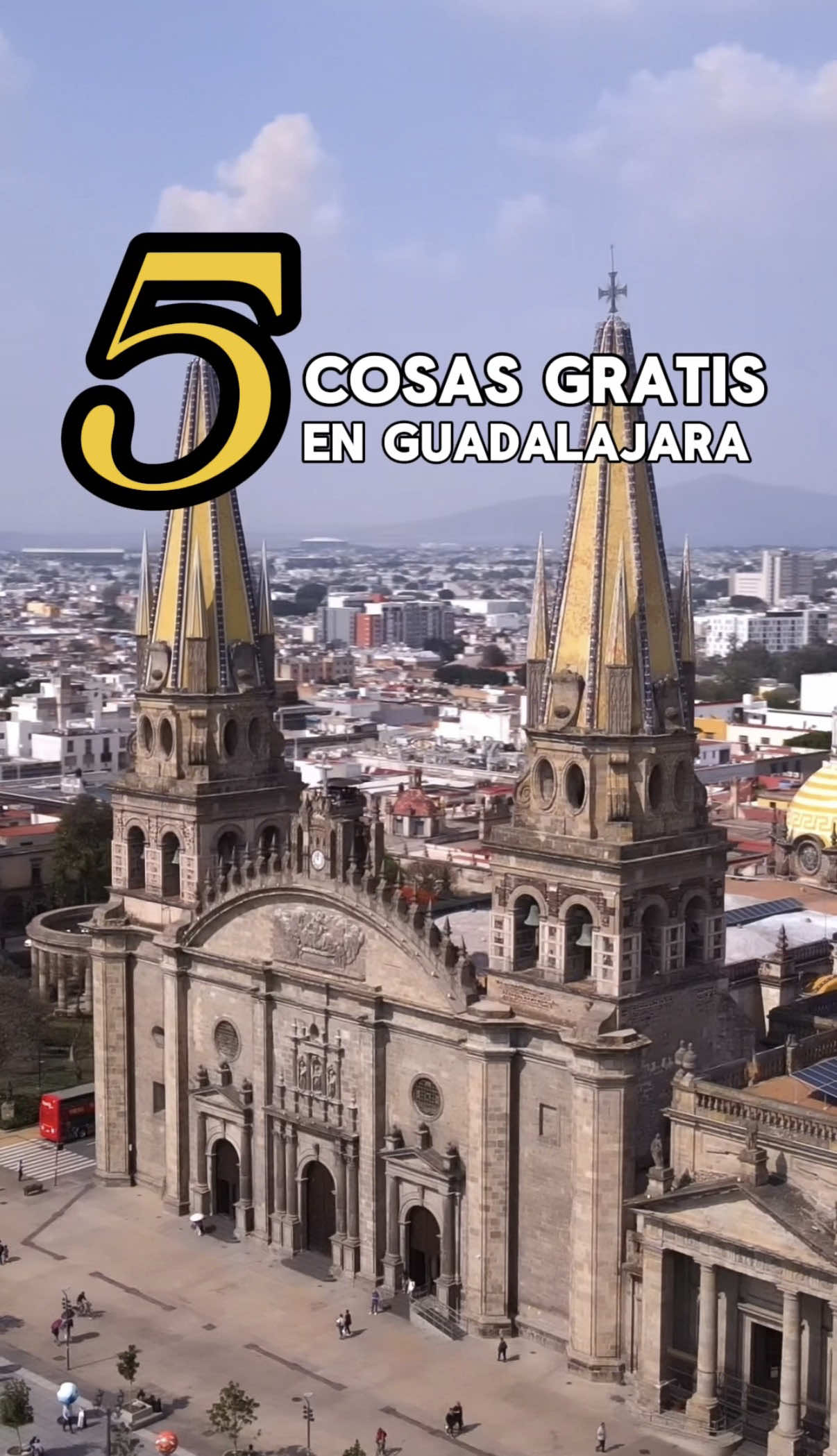 @provechito.gdl