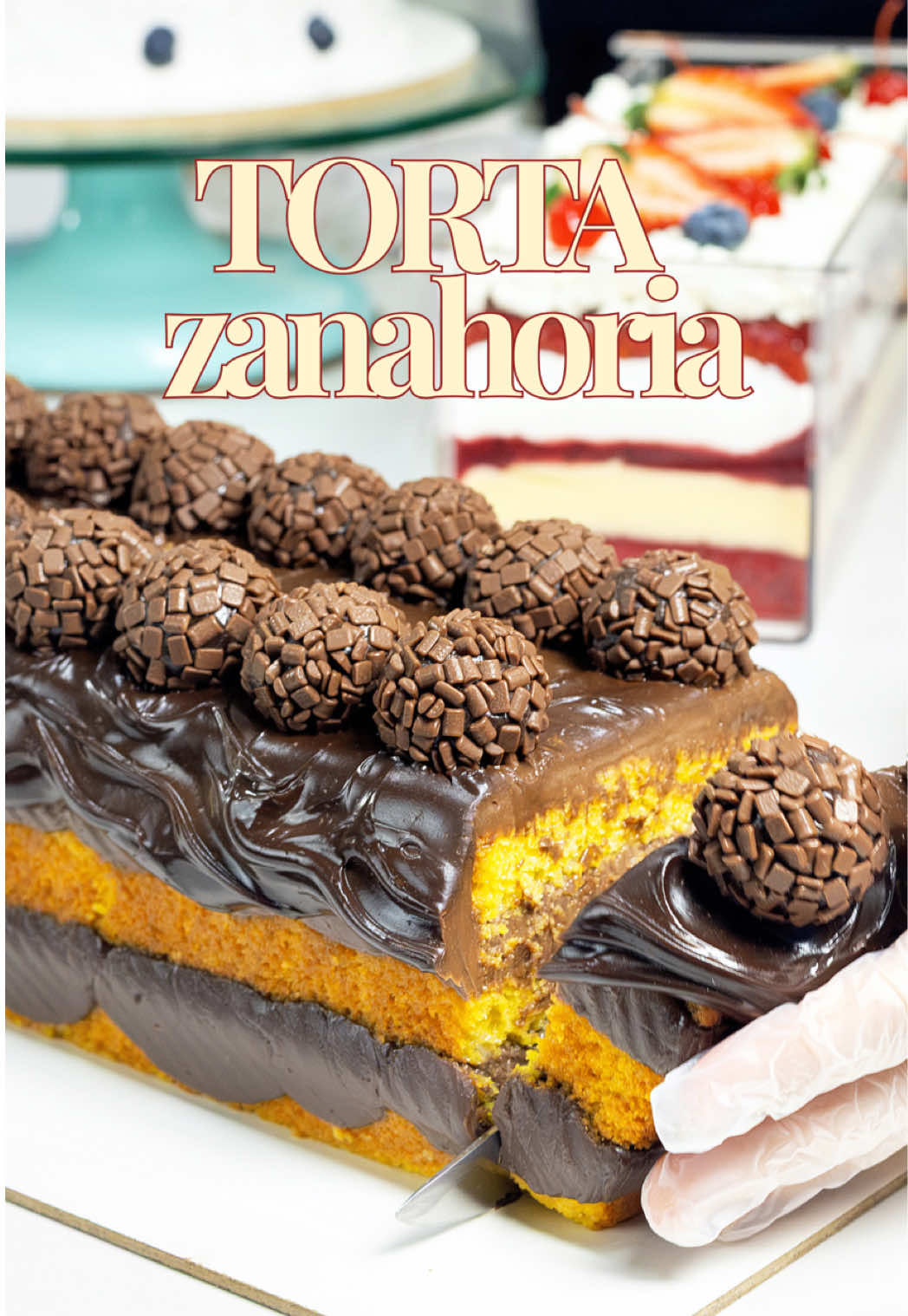 @Carina Lovera Repostera G