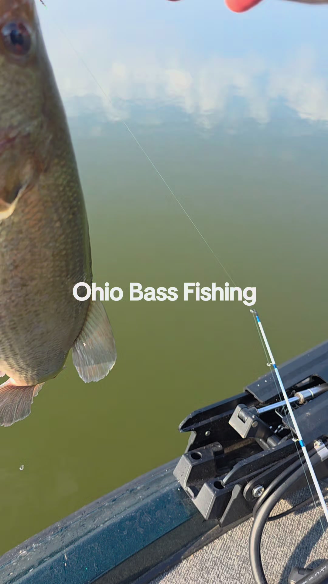@3dprintedlures FWC