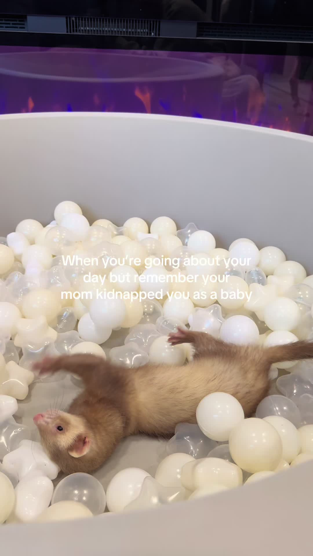 @Moon & Nala