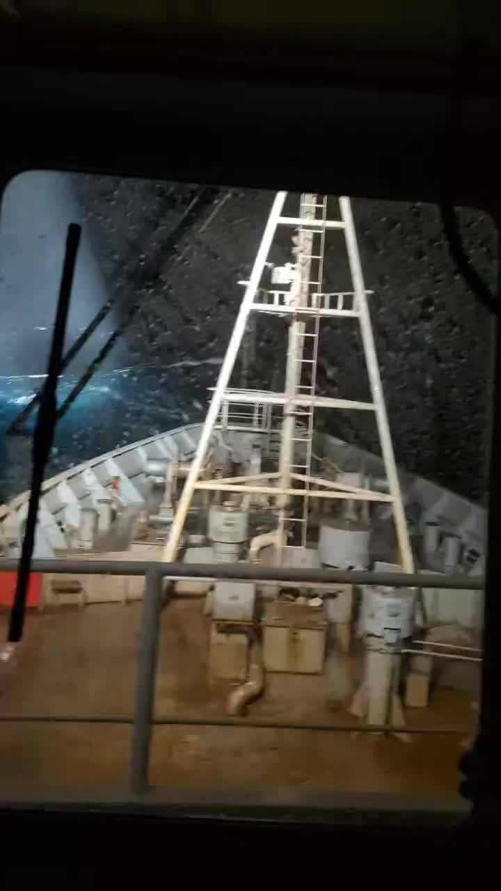 @Captain Paul Watson Foundation