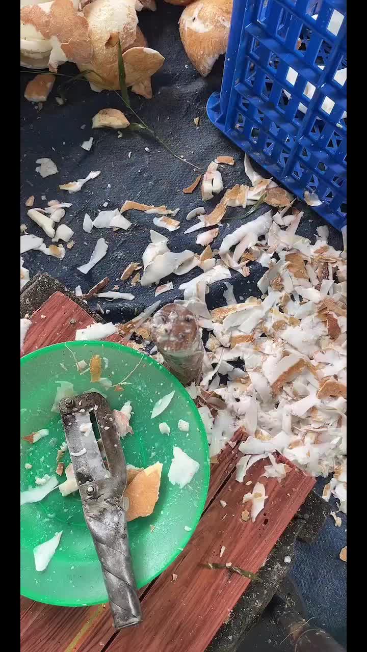 @Eni nyot nyot