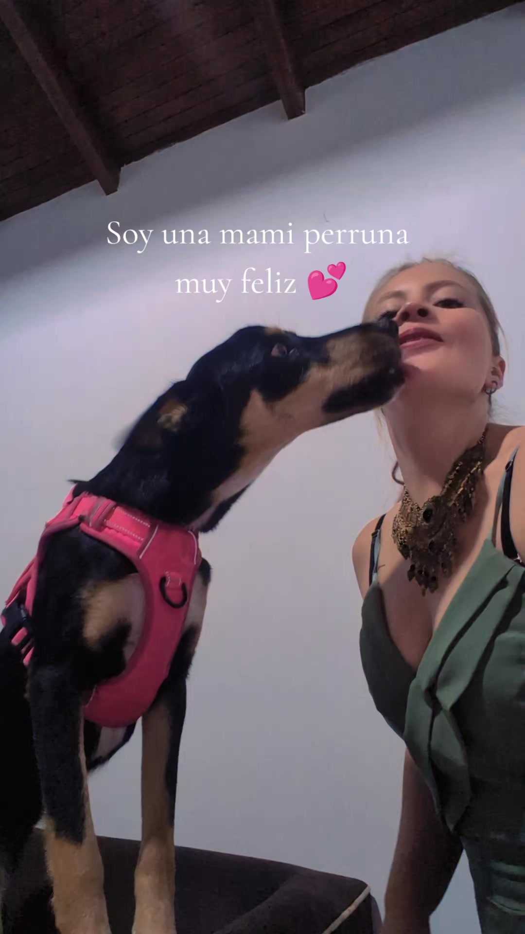 @Pao Jazm&iacute;n