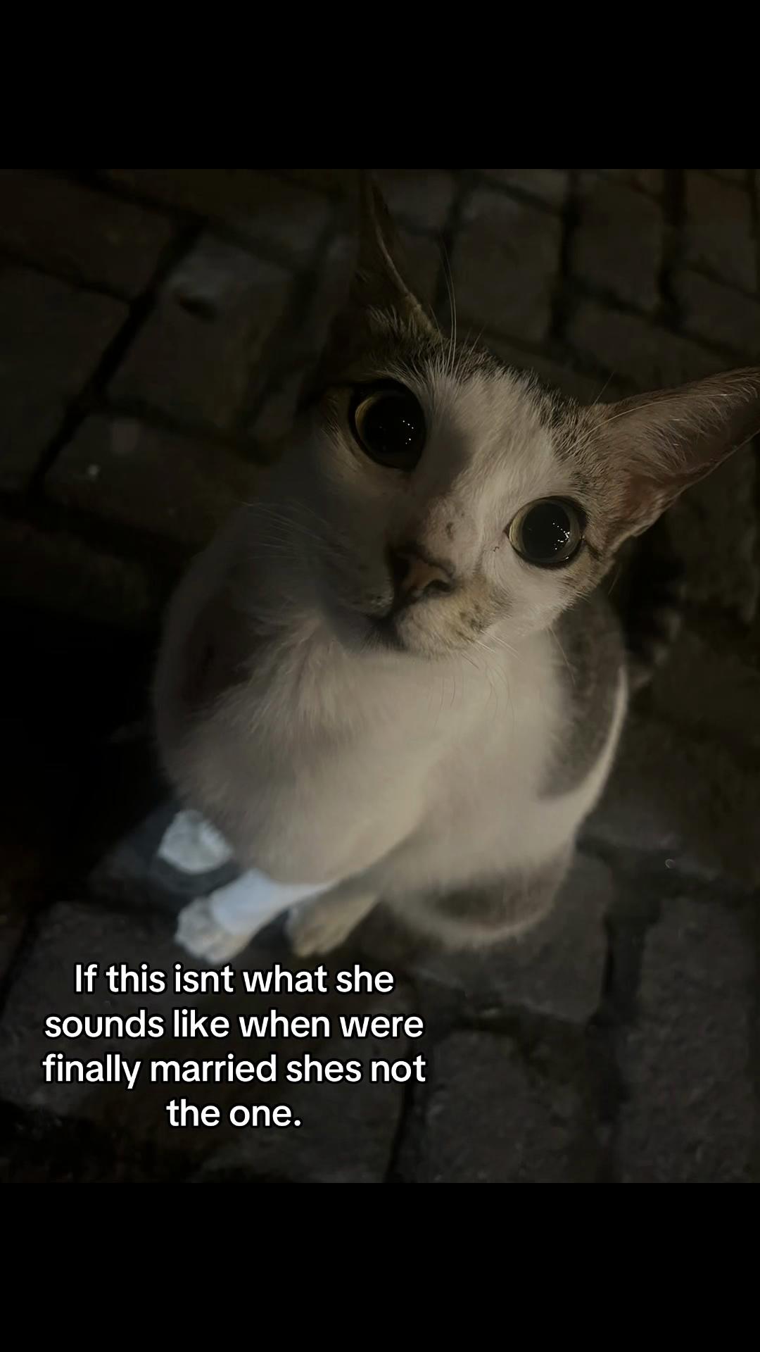 @👻