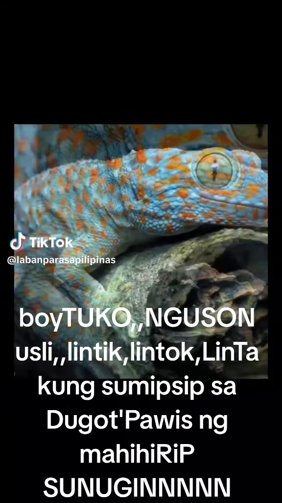 @RastamanOfficialTiktok