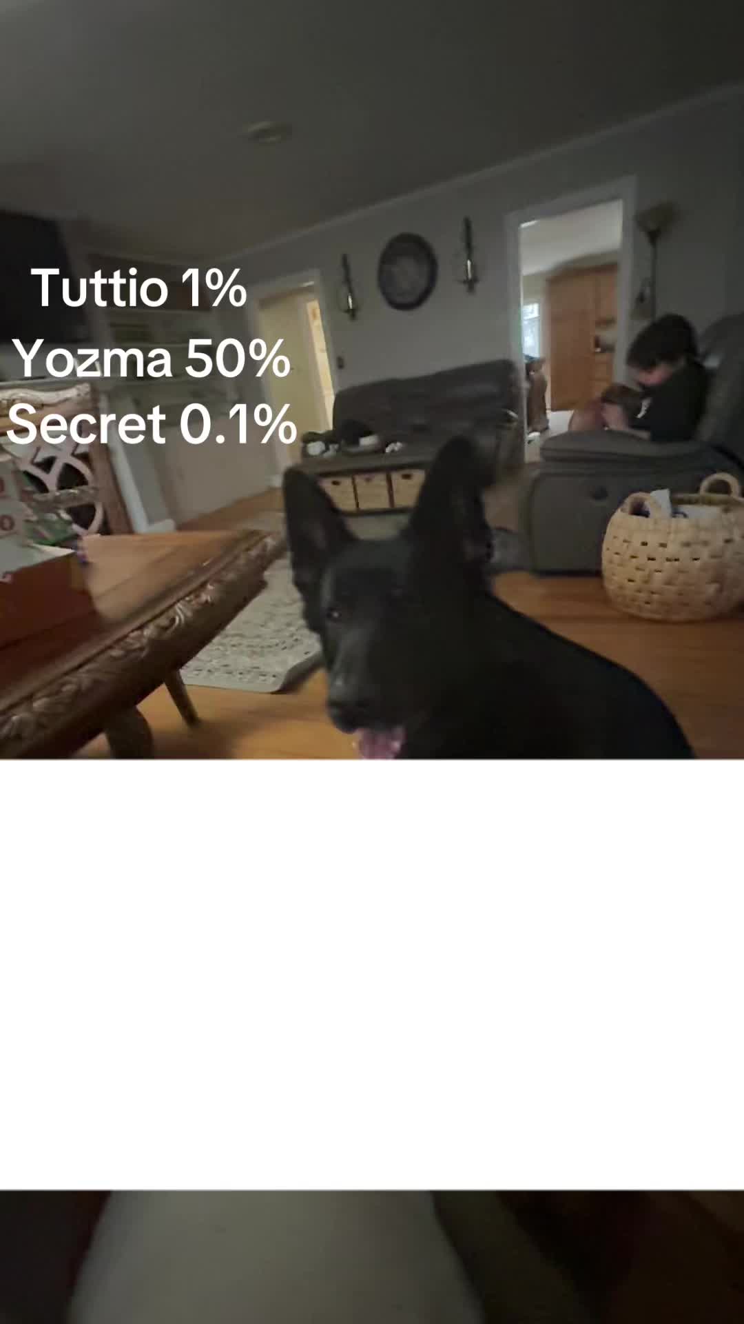 @monkey_fb