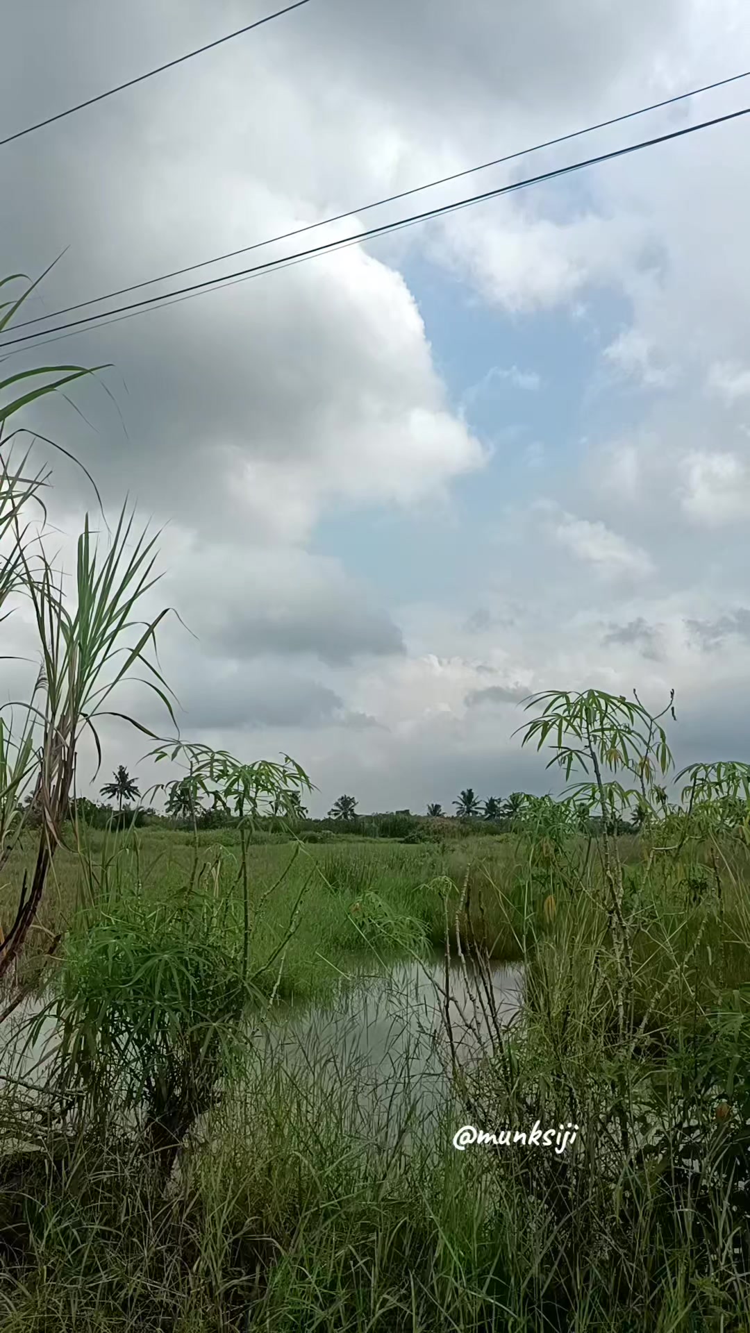 @munksiji