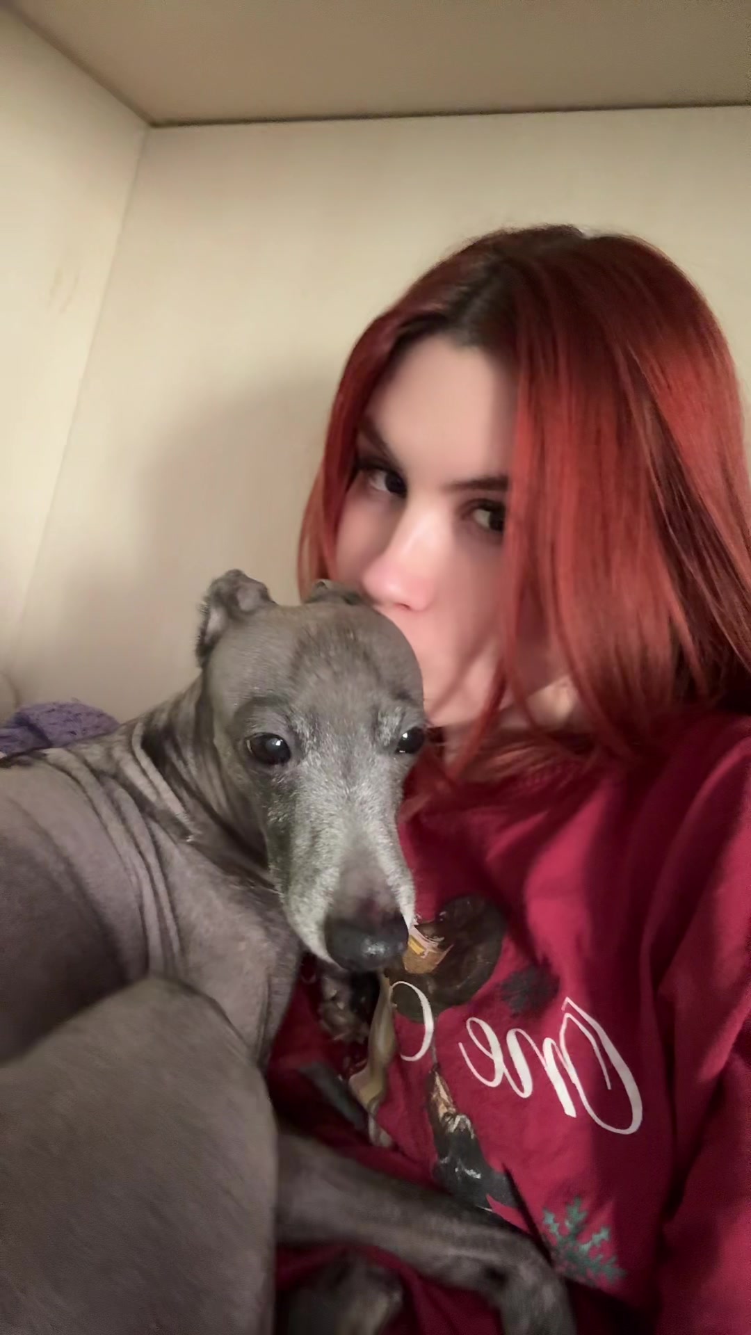 @dvbonbon