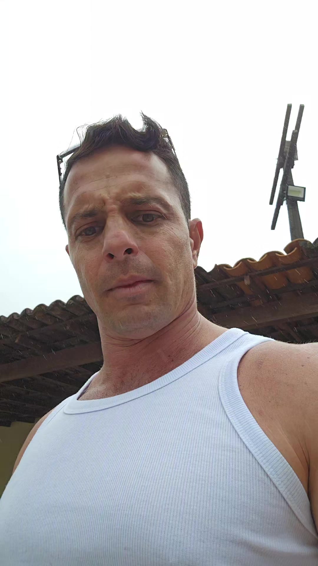 @Marcelo F. Lima