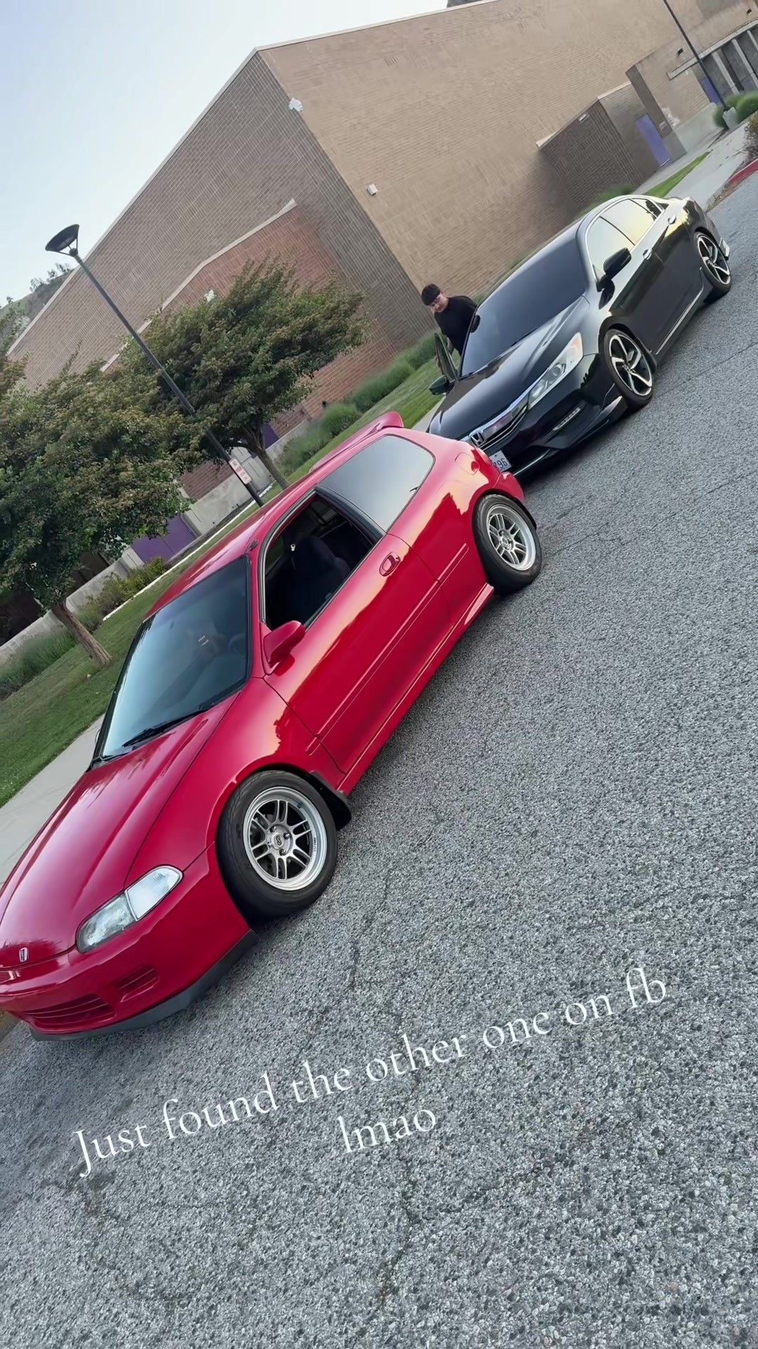 @dorkkk6