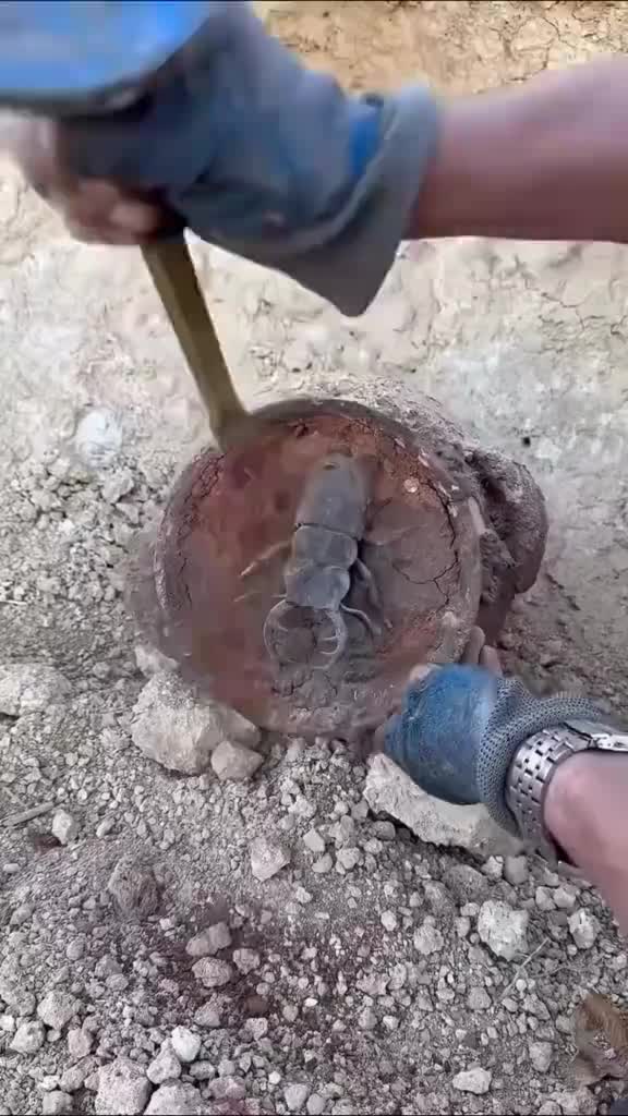 @Ахмет нурыев