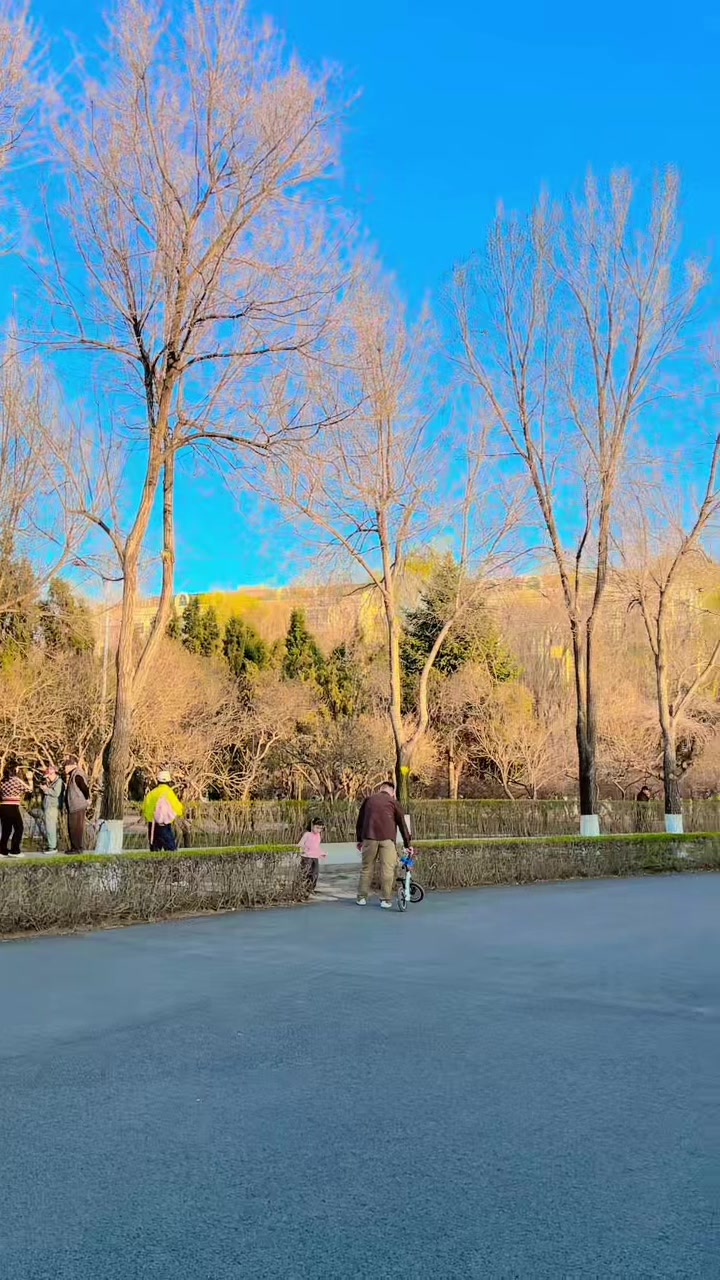 @阿里夫
