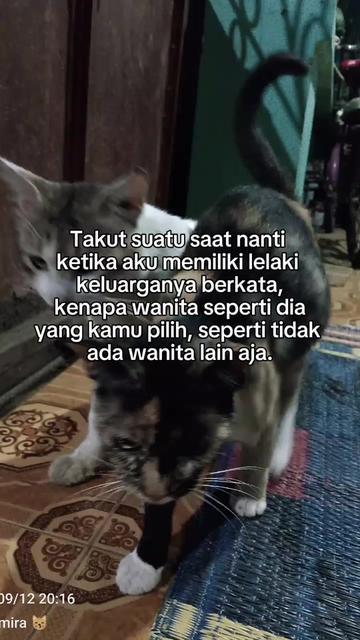 @💞 Asmirandah💞
