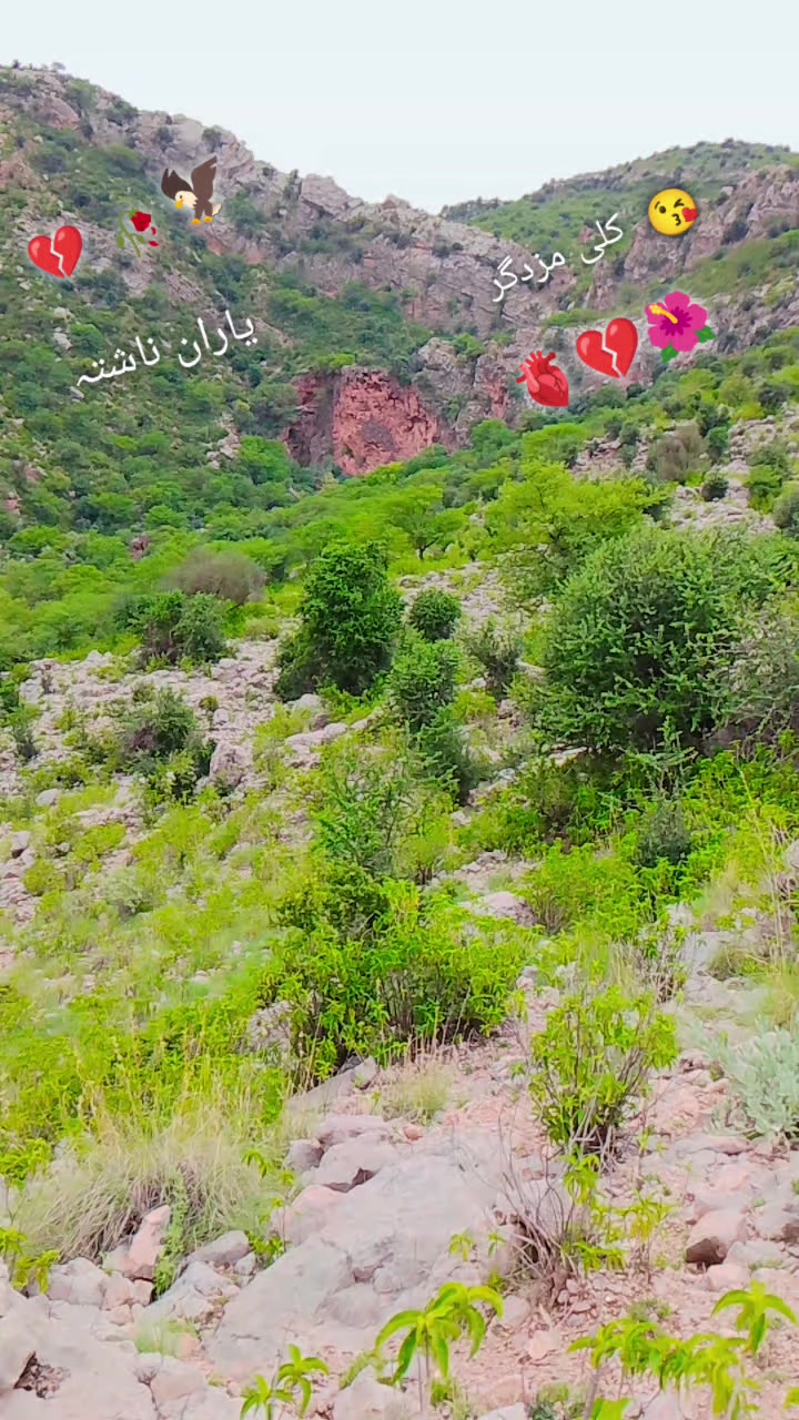 @Faizan _khan 368