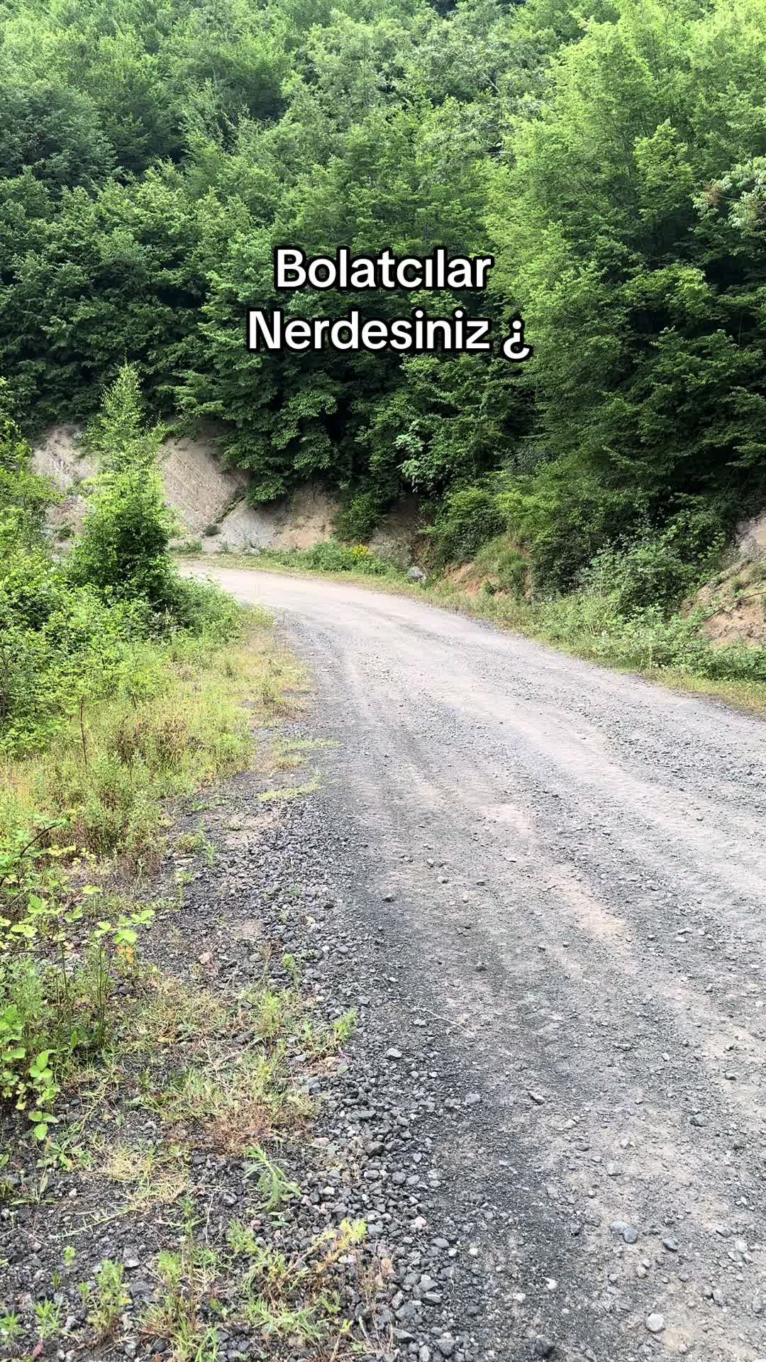 @Bolat seven birliği