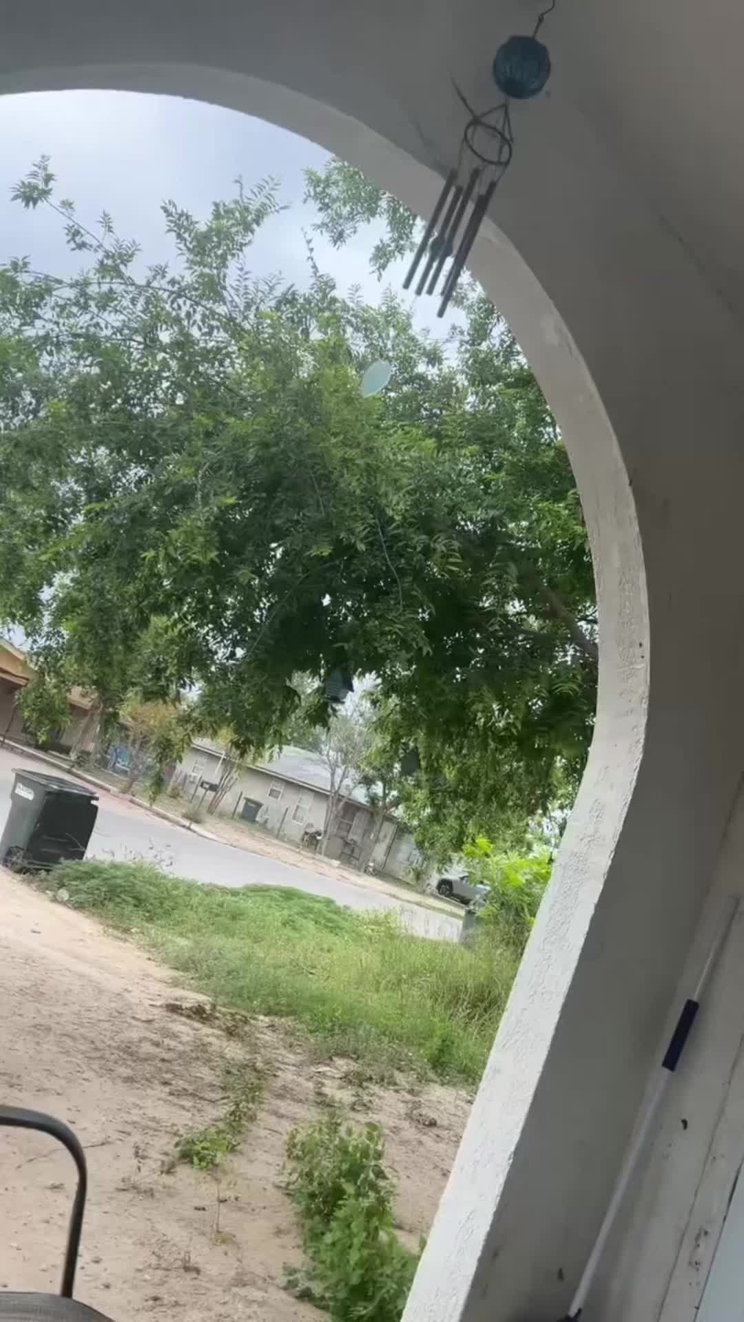 @anahidrogo262