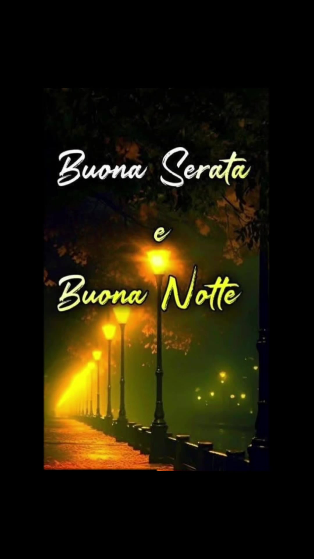 @selvaggia