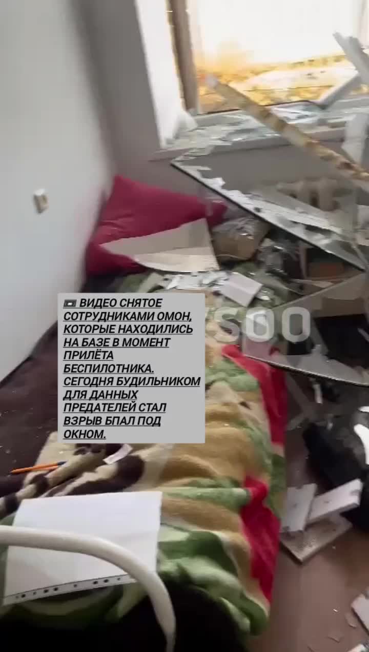 @Chp_kavkazz           🔹️
