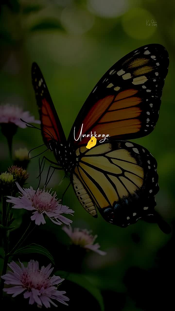 @𝛃ǟ𝛃𝛐⃪֟֯፝͜͠𝛐𝛚🕊
