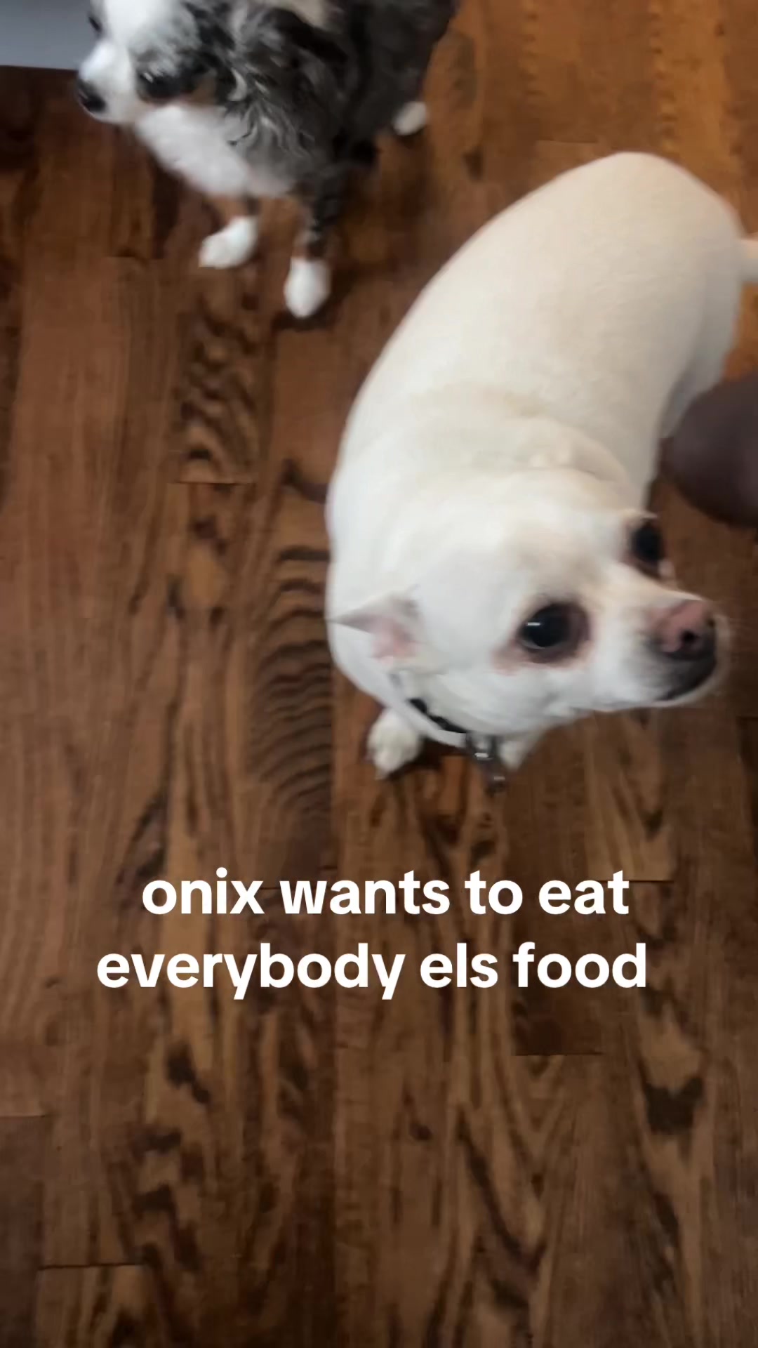 @Onix