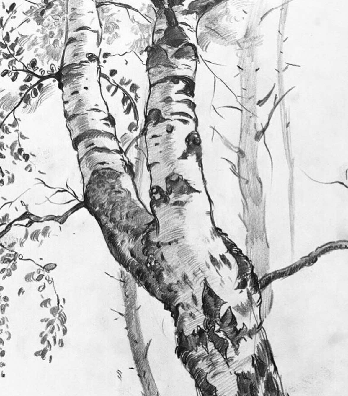 @sketching