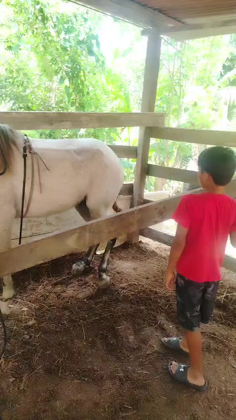 @vaquero 🤠 Lopez