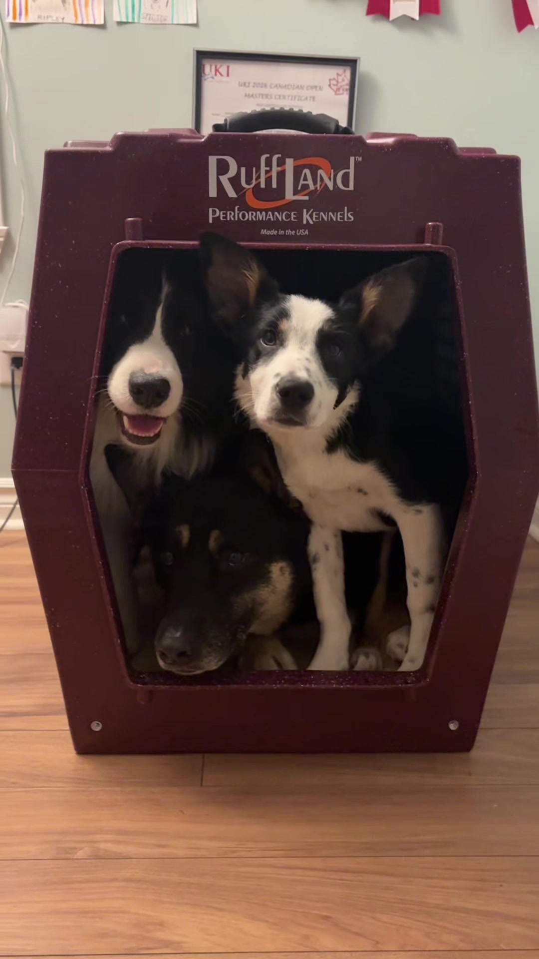 @whereborderswander