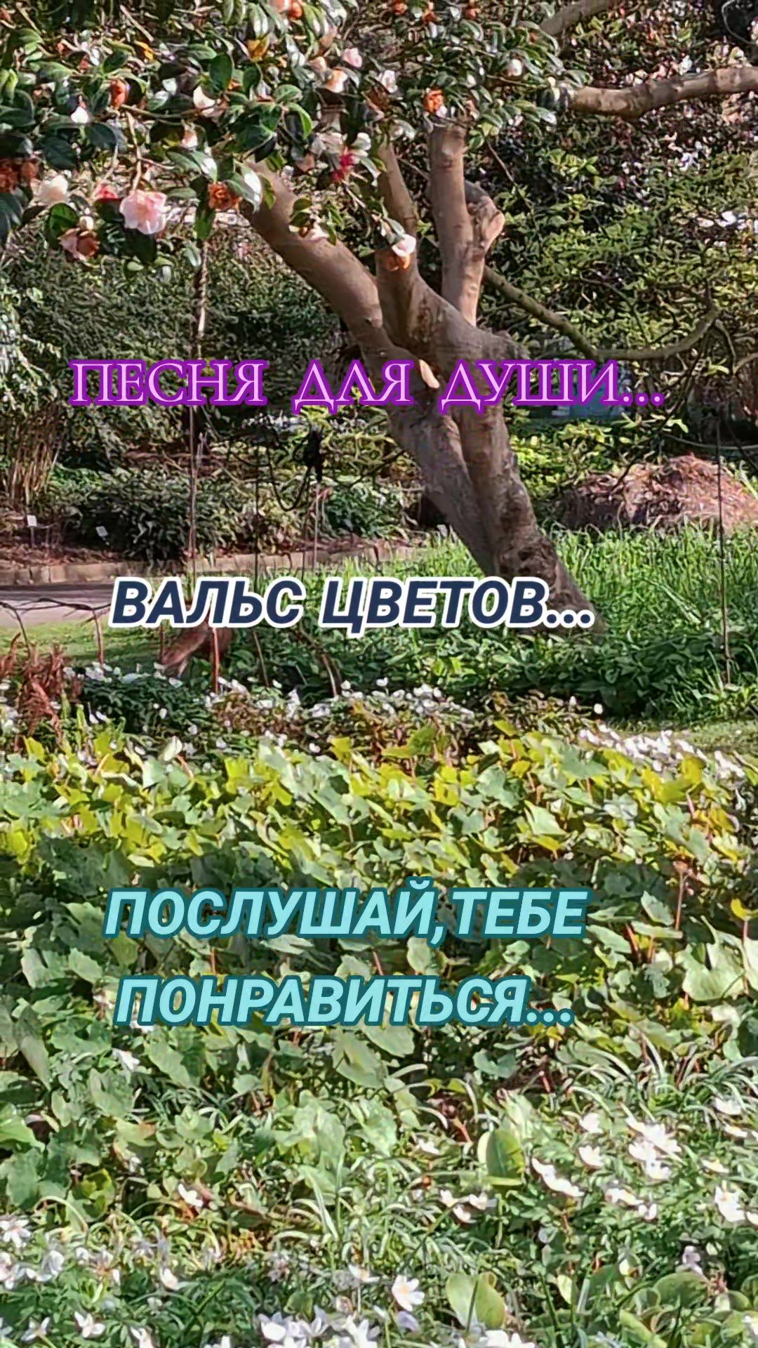 @Алёна А