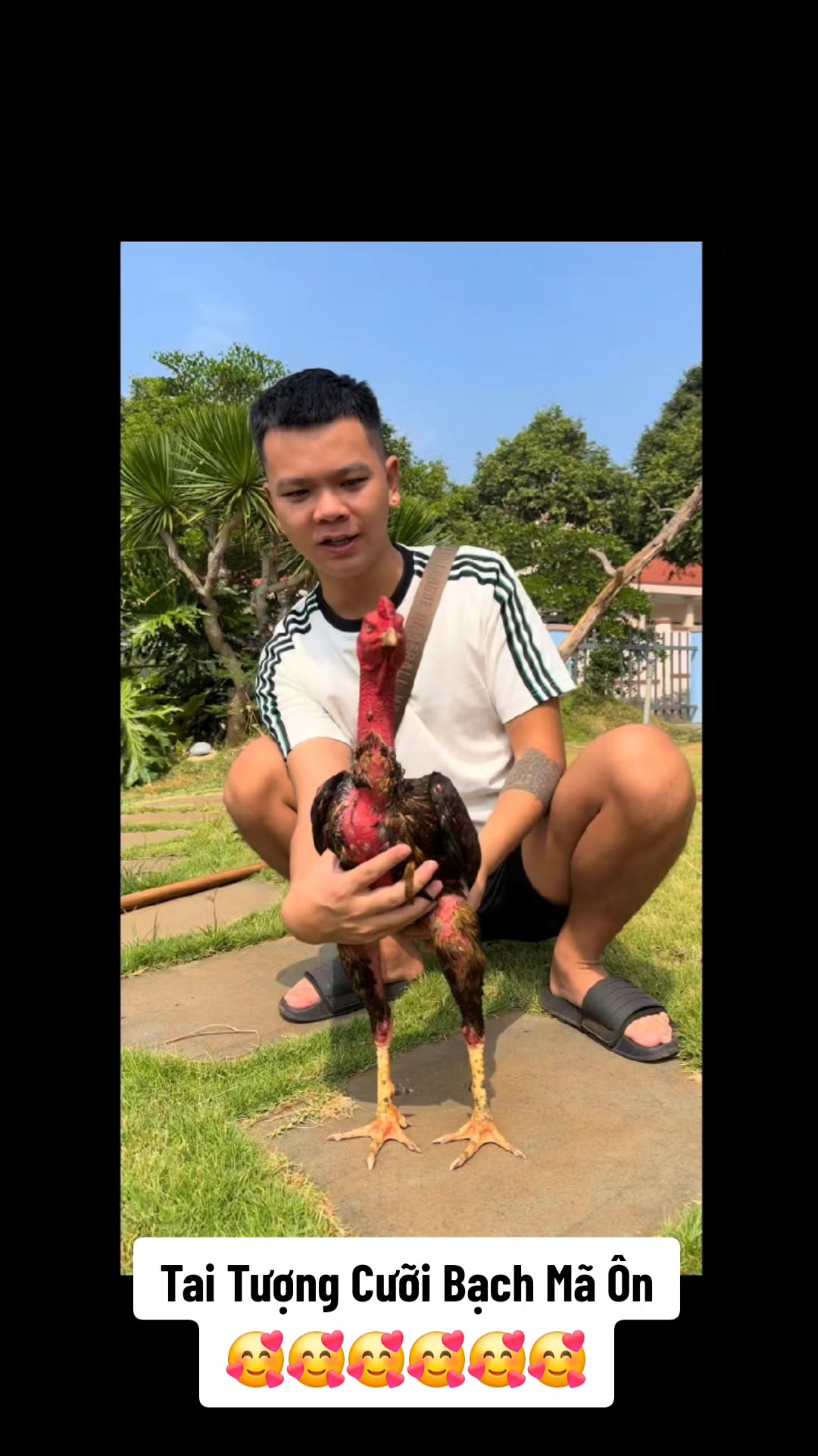 @nông thành trung