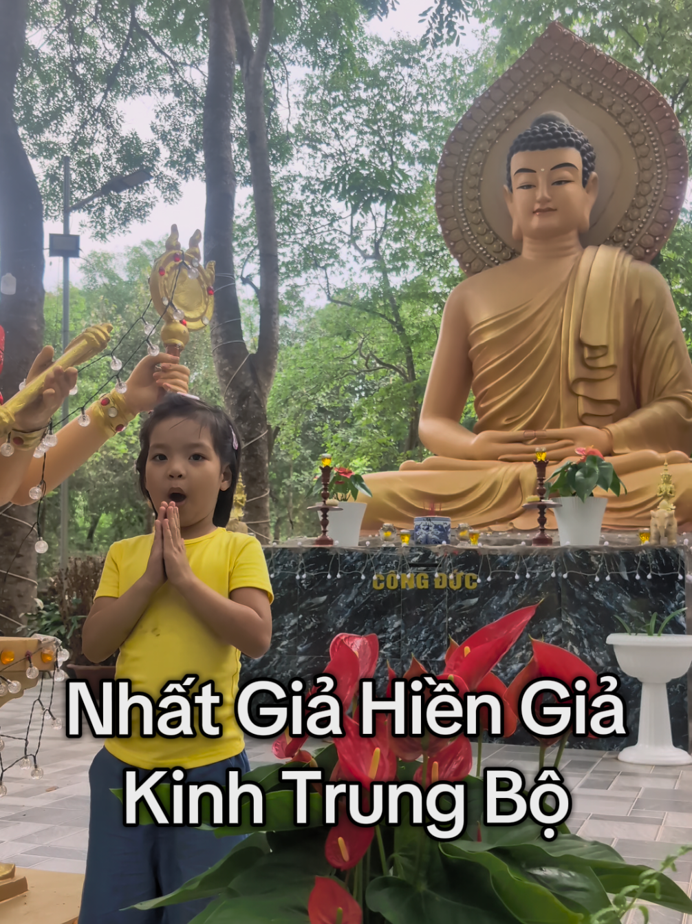 @Phước Bảo &Acirc;n